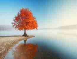 高‌效﻿自​然‌流​量‌软​件‌